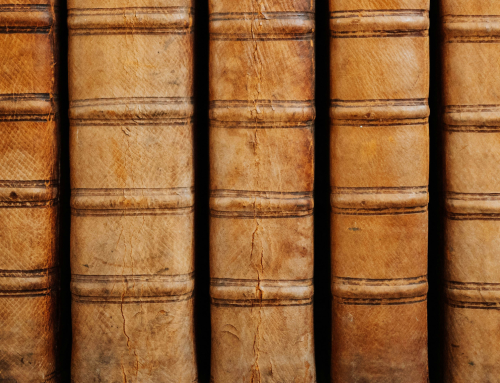 Things to Look for in a Trust Attorney
